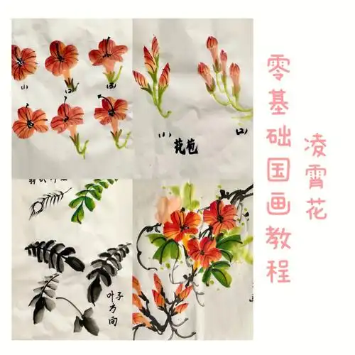 国画零基础入门课程网课