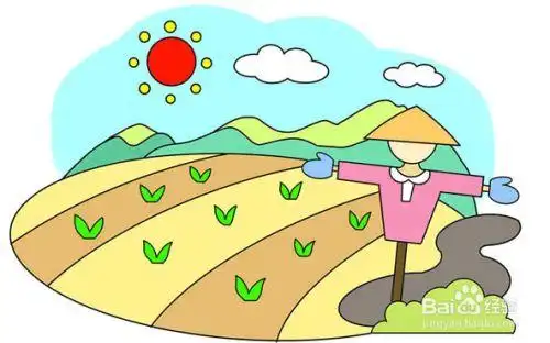 美丽的稻田风光画完了!