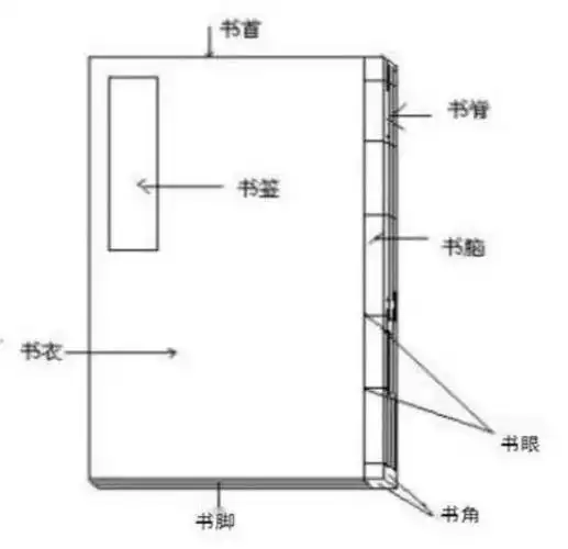 古籍的外形结构包括:书衣,书签,书名页,书首,书根,书脑,书脊,副页,包
