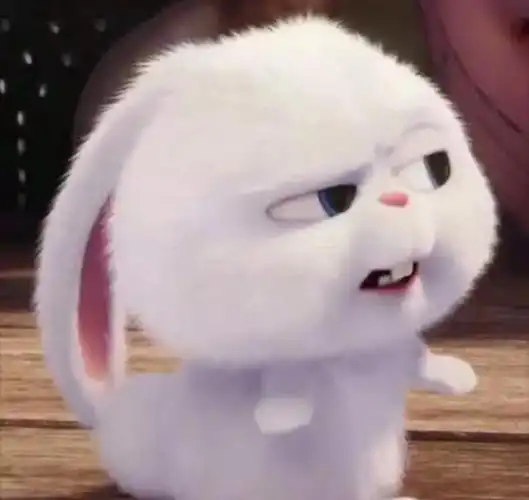 兔子头像暗示什么治愈系小兔子微信头像