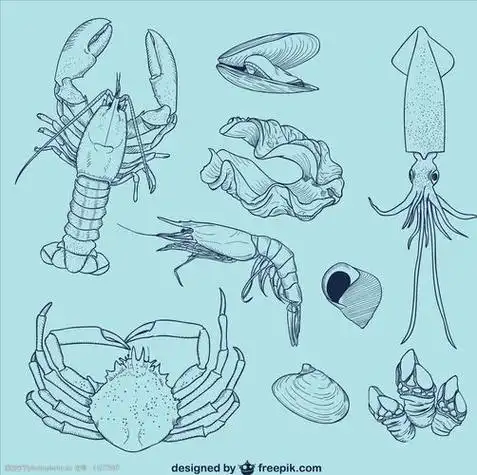 小鱼小虾简笔画 小鱼小虾简笔画图片大全