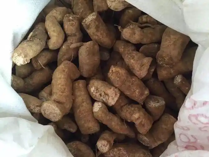 到底有什么用途?种植瓜蒌一亩地有多少收益?