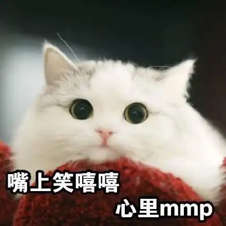 嘴上笑嘻嘻心里mmp