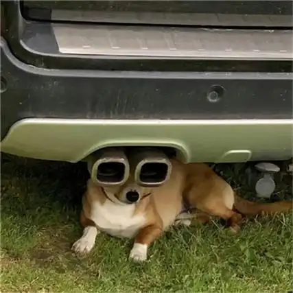 超搞怪又超搞笑的朋友圈配图有事晚上说幼儿园还没放学