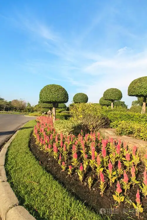 美丽的园林景观