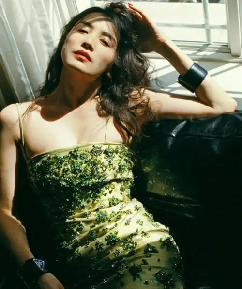 靠吊带走红与5婚导演同居但如今的宋佳证实李连杰没说错