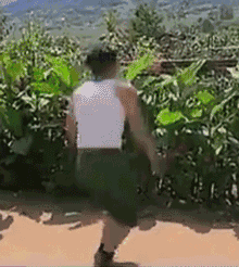 叱咤象牙山以一段霹雳蹬腿舞尼古拉斯 61 赵四还记不记得不知道各位