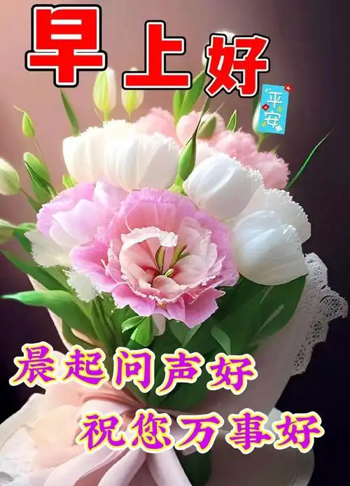 早上好祝福问候图片