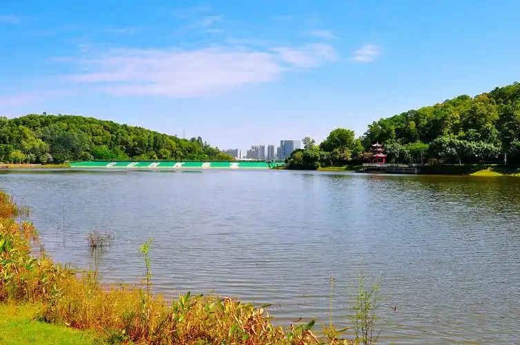 随拍深圳大运公园神仙湖