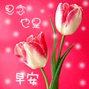 微信早上好图片大全 微信早上好图片表情