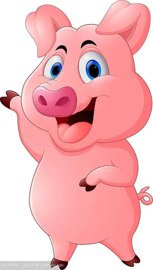 可爱的卡通猪
