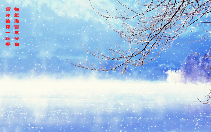 1500_938gif 动态图 动图