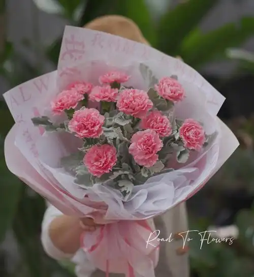 2022母亲节11朵康乃馨花束