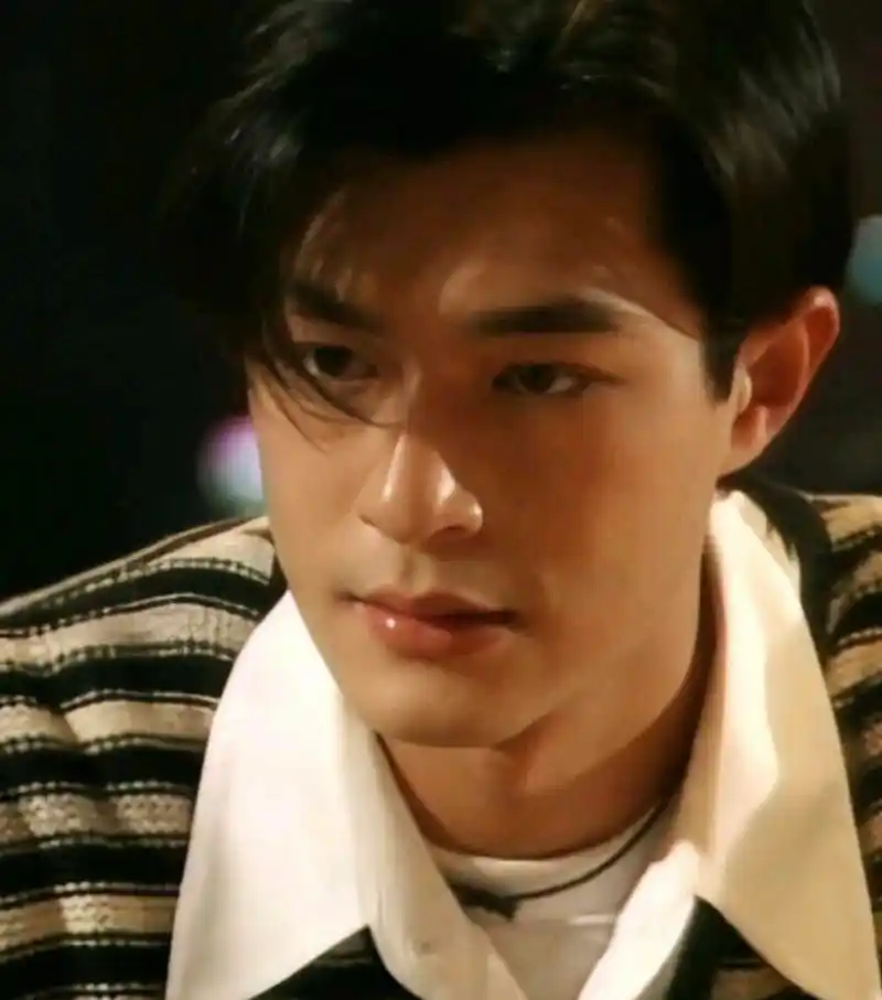 90年代受追捧的男明星,阳刚的外型更受欢迎,审美与现在相差甚远.