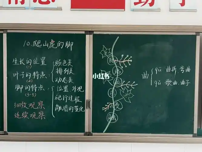 四上语文爬山虎的脚板书分享