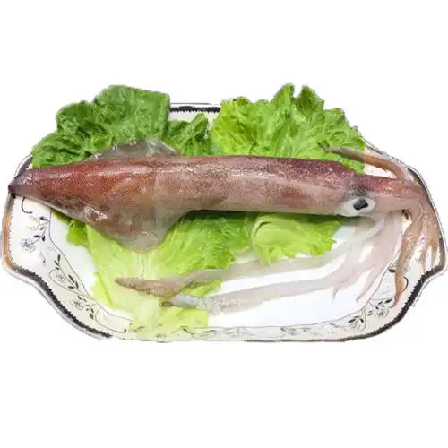 东山岛手钓大管鱿鱼海鲜1-2条/500g野生超大鱿鱼鲜活整只冰冻冷冻