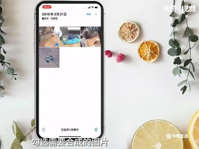 苹果手机怎么把照片合成一张图片 苹果手机如何把照片合成一张图片