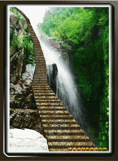 640_874竖版 竖屏gif 动态图 动图