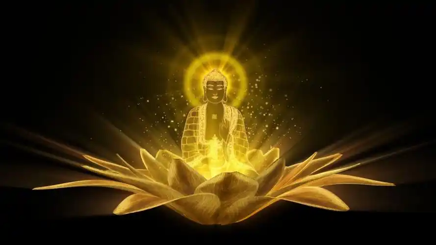 佛光普照 金莲盛开