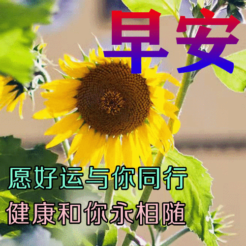 9张最新防护疫情早安问候祝福图片精选周二非常时期关心问候早上好