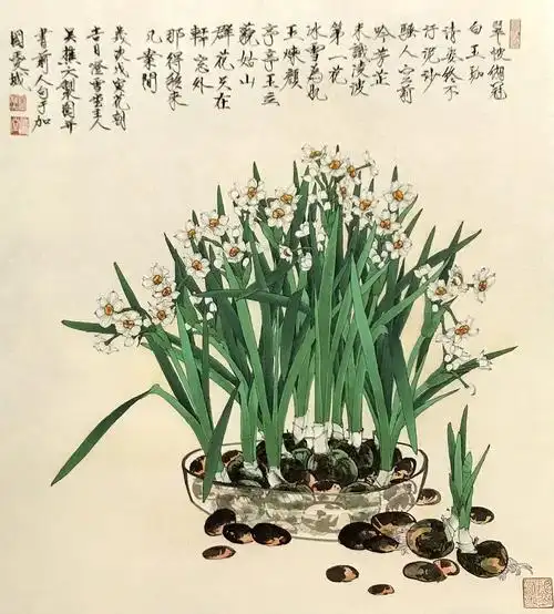 蕉荫鹭鶿吴樵六国画花卉艺术作品:写生水仙花图陈之佛国画花鸟艺术