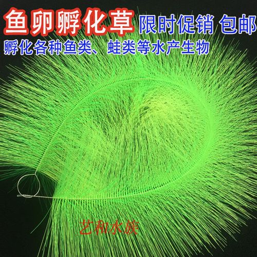 锦鲤鱼卵孵化草水产养殖专用产卵毛刷观赏鱼金鱼巢水族幼鱼苗软毛
