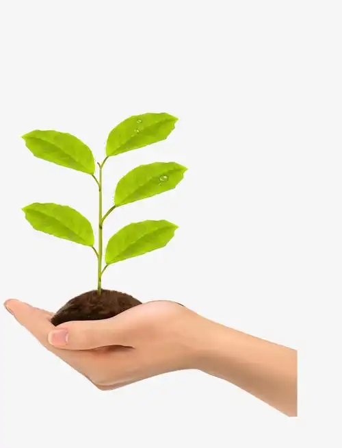 植树节玻璃罩里的小树苗png卡通插画