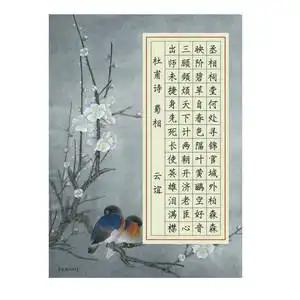 作品纸方格纸小学生练字纸格子比赛专用纸56格 书法纸56字律诗古诗