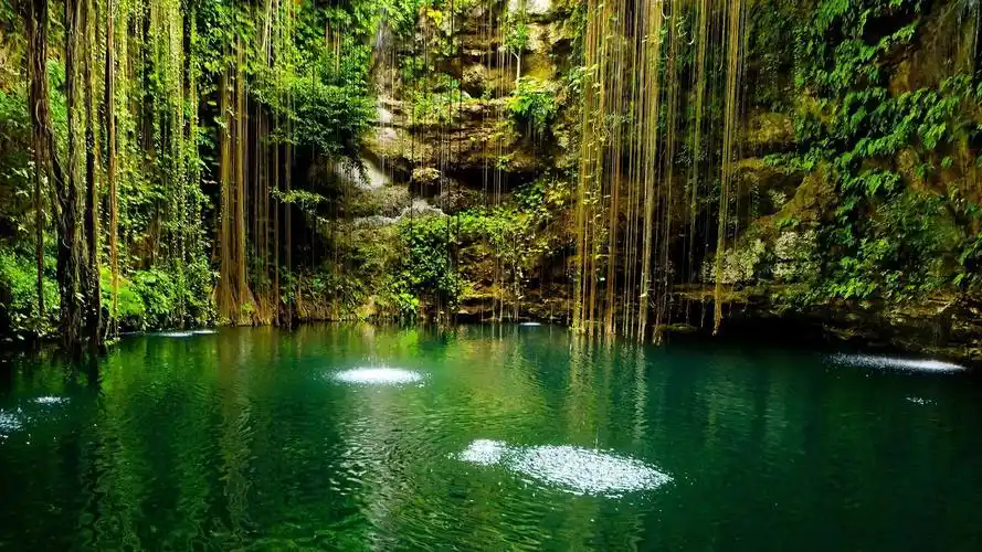 碧绿的湖水-美丽的风景壁纸