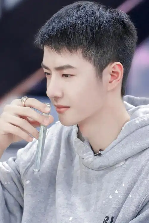 王一博天天向上