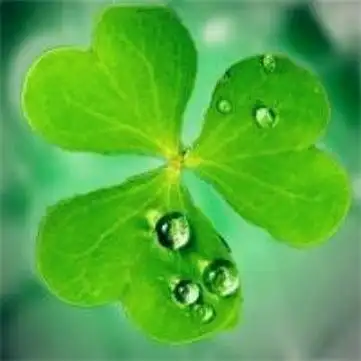 适合春天的头像图片高清适合春天微信头像合集