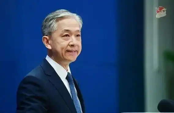 汪文斌(资料图)图源:外交部网站