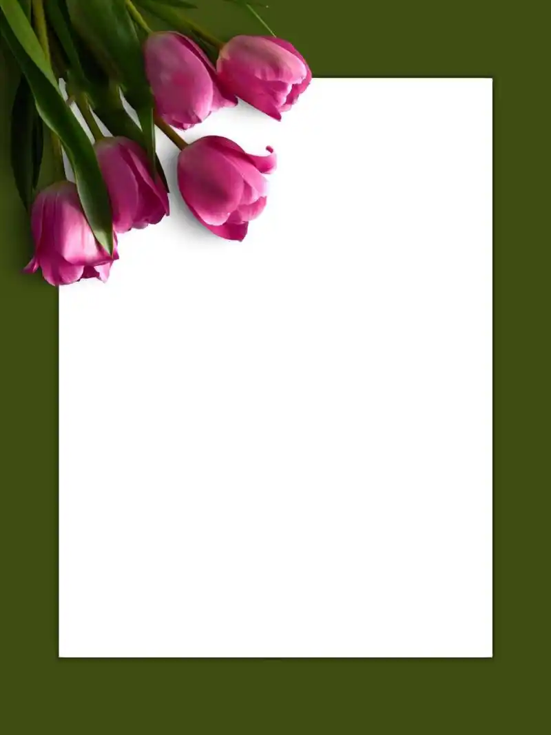 朋友圈高级简约晒单底图|文案书单空白模板 可用作朋友圈背景图,海报