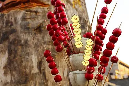 北京冰糖葫芦小鸡图片素材