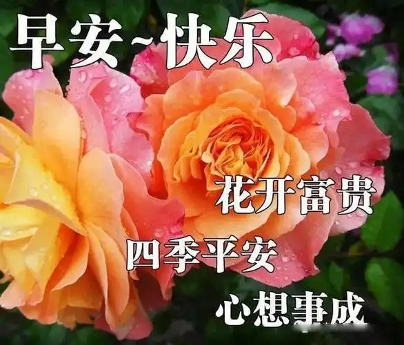 初夏早上好问候祝福精美表情图片 早安祝福语短信大全