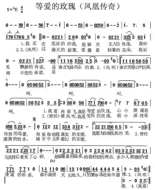 受伤的玫瑰 凤凰传奇 歌词