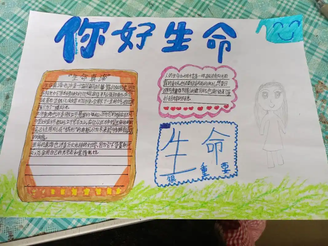 你好生命主题曲手抄报