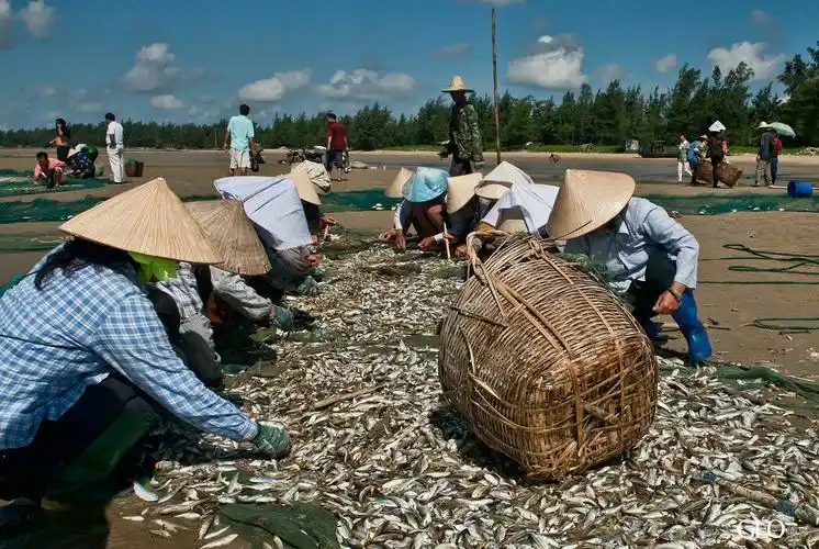 出海观光,捕鱼,钓鱿鱼,拉大网,海滩露营,烧烤,各种渔民生活体验,联系