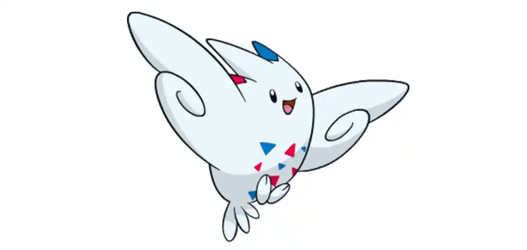 宝可梦剑盾波克基斯怎么配招