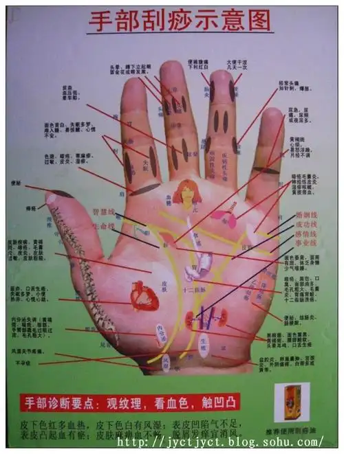 五指诊断健康