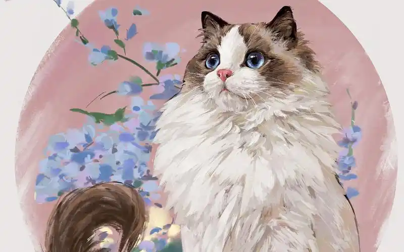 cancan画布偶猫手绘视频过程_哔哩哔哩 (゜-゜)つロ 干杯~-bilibili