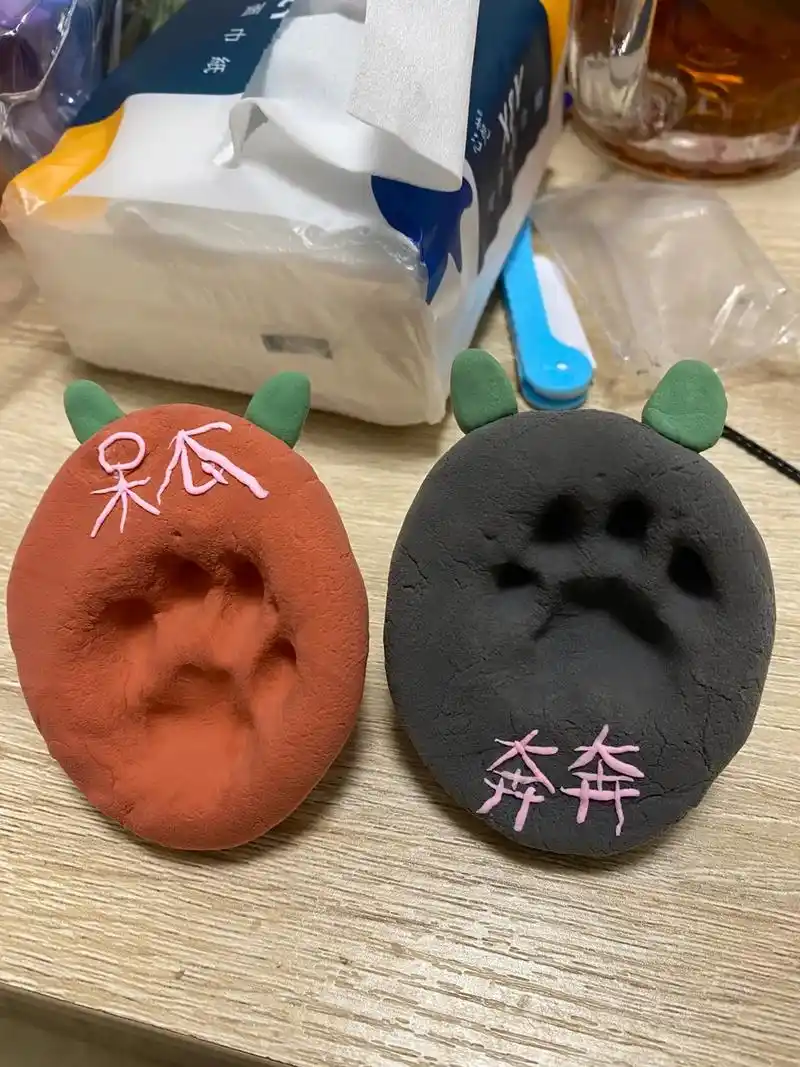 虽然……但是……#超轻粘土手工 #猫爪 #猫咪的日常 - 抖音