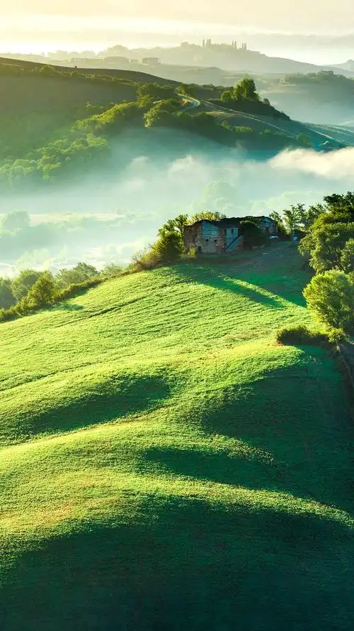 绿色仙境,风景-手机壁纸