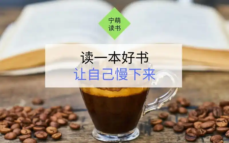 读书分享好书一本让自己慢下来