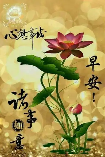 早上好朋友,清晨最美早安问候语图片带字,温馨早上好动态表情图片