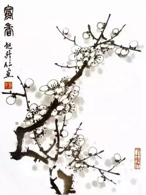 国画梅花的各种画法,史上最全梅花教程!
