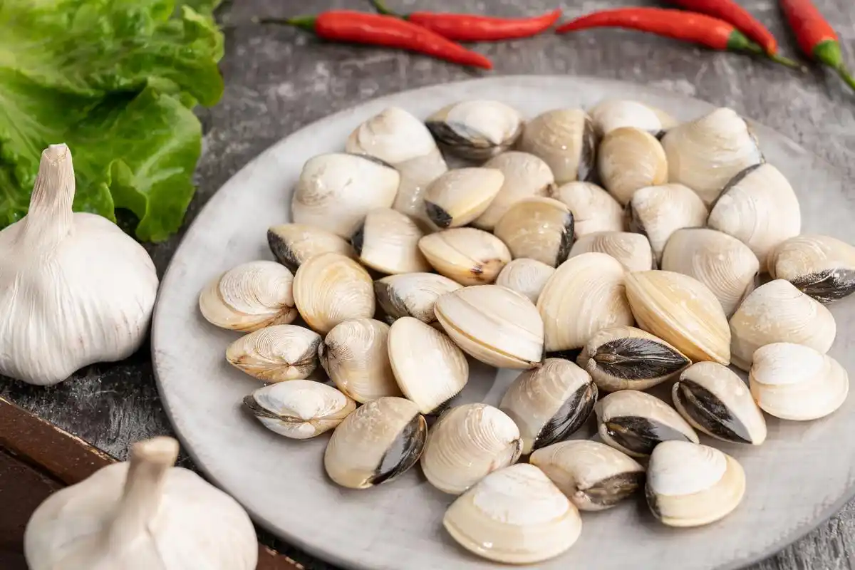 白贝是一种鲜美营养丰富的海鲜,本文介绍了清蒸,蒜蓉蒸和香煎三种烹饪