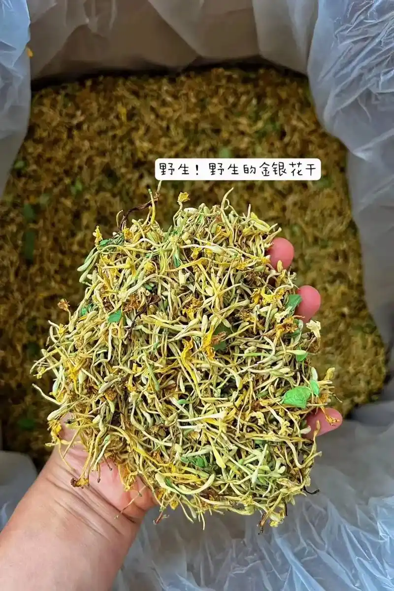 野生金银花,清热解毒,夏天最适合泡喝…"#这个夏天好热  - 抖音