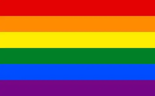 不过彩虹旗是这个配色顺序