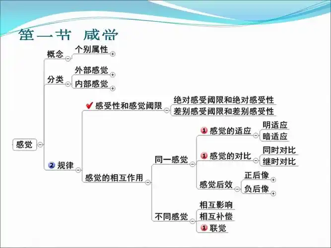 心理学思维导图